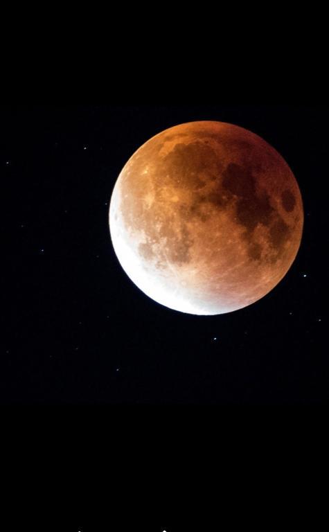 Luna Costinesti Ngoại thất bức ảnh