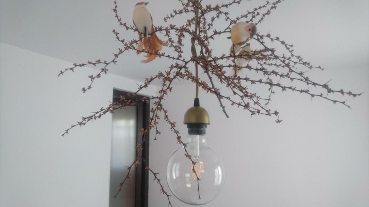 Luna Costinesti Ngoại thất bức ảnh